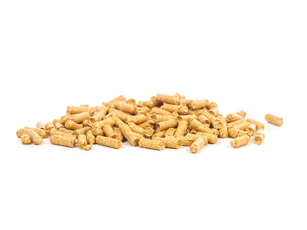 Miniatura: Snow Flakes