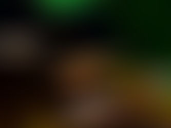 Peixe-espada (Xiphophorus hellerii)