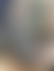 セイコー腕ミシン　TE-5