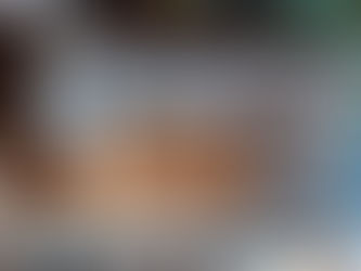 ジャノメ 職業用ミシンHS-80の修理