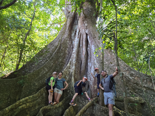 Voyage au Costa Rica en famille : nos idées et conseils pour un séjour réussi