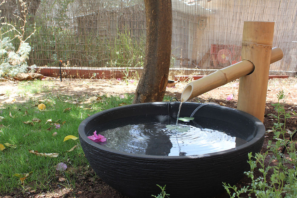 Thumbnail: מזרקת זן יוקוגוצ'י