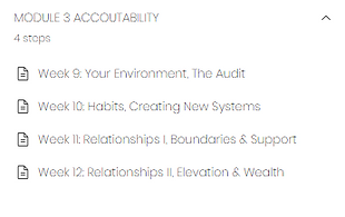 Screenshot The 12 week intensive Module.png