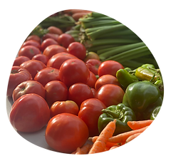 Website Elements (3).png