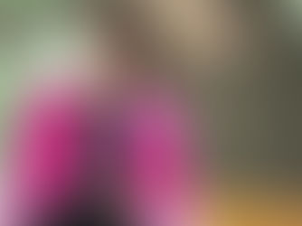 CCNL istruzione e ricerca 2022-24, Barbacci: "Chiudere questa trattativa, almeno sulla parte economica, agganciandola subito a quella del triennio successivo 2025/2027"