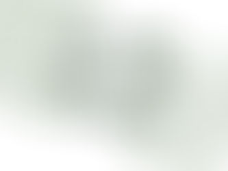 SOGGIORNI STUDIO “ESTATE INPSIEME ITALIA", 12.020 CONTRIBUTI RIVOLTI A STUDENTI DELLA SCUOLA PRIMARIA E SECONDARIA DI I E II GRADO