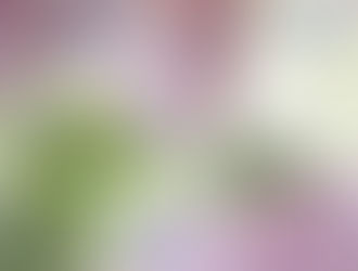 BONUS 2026, da 200 a oltre 4.000 euro: i 5 bonus da tenere sotto controllo per le famiglie con il nuovo ISEE che esclude la prima casa