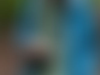 INSEGNANTE ACCOLTELLATA A SCUOLA, VALDITARA LE FA VISITA IN OSPEDALE (VIDEO)