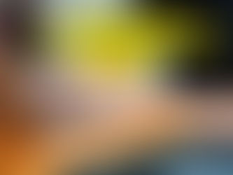 Esame di maturità 2026: candidati esterni, ecco come compilare e inoltrare correttamente la domanda (Guida MIM)