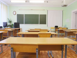 Denatalità, taglio dei docenti o riduzione delle classi pollaio? Urge migliorare il welfare e diminuire il rapporto alunni-docenti queste le richieste del sindacato Anief
