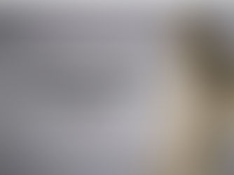 Scuola estiva per docenti, "Dante per la scuola. Percorsi di innovazione didattica". Quando e dove si svolgerà la quinta edizione? Scopriamolo insieme (Nota)