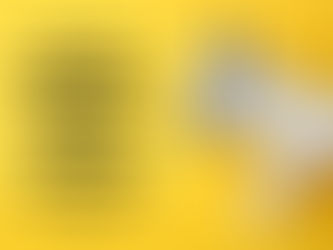 Unicobas, sciopero generale il 31 ottobre contro la Legge Finanziaria che colpisce Sanità, Enti Locali, Scuola e pensioni