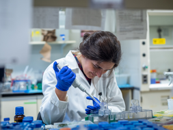 SCUOLA SUPERIORE DI II GRADO BIOLOGIA CON CURVATURA BIOMEDICA