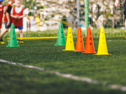 Scuola Attiva Junior, adesioni di partecipazione delle scuole al progetto entro il 17 ottobre 2024 (Nota)