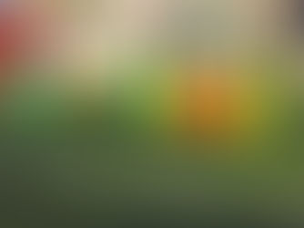 Scuola Attiva Junior, adesioni di partecipazione delle scuole al progetto entro il 17 ottobre 2024 (Nota)