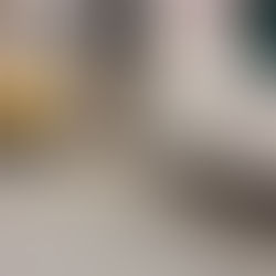 Sostanza corrosiva su autobus Chioggia–Venezia: lesioni a più passeggeri, tra cui una studentessa, e richiamo del CNDDU ai diritti umani e alla sicurezza