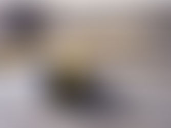 ISTITUITO IL NUOVO SETTORE ARTISTICO DISCIPLINARE “ARMONICA A BOCCA CROMATICA’’