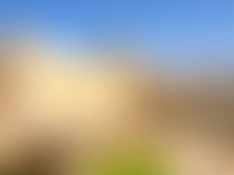 OGGI VISITE GRATUITE NEI PARCHI ARCHEOLOGICI E NEI MUSEI IN TUTTA ITALIA