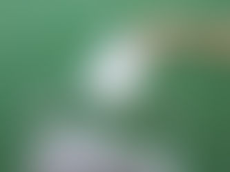 Elezioni degli organi collegiali a livello di istituzione scolastica per l'a.s. 2025-2026: quando dovranno concludersi le operazioni di voto? Scopriamolo insieme