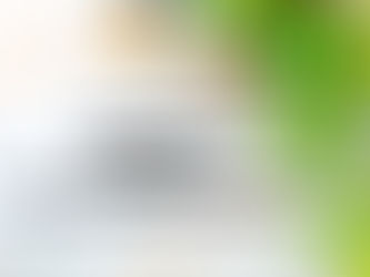 Giornata mondiale dell'alimentazione, al via il nuovo Concorso Poster e nuove attività rivolte ai giovani. Iscrizione entro l’8 novembre 2024