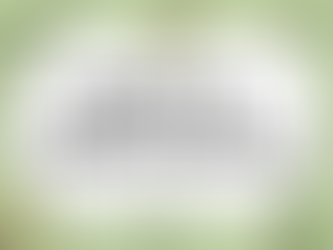 NOMINE IN RUOLO PERSONALE DOCENTE - ESPRESSIONE PREFERENZE PROVINCIA