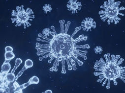 FINE EMERGENZA SANITARIA, MA RESTANO I 5 GIORNI DI ISOLAMENTO