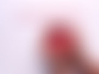 ITALIA LOVES ROMAGNA, LUNEDI LA CONSEGNA DEL RICAVATO DEL CONCERTO