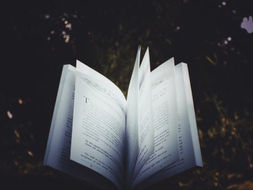 AL VIA IL TAORMINA INTERNATIONAL BOOK FESTIVAL, QUATTRO GLI APPUNTAMENTI