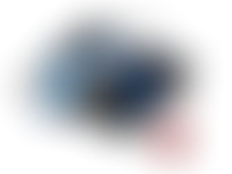 SECONDA PROVA ESAME DI MATURITÀ NEGLI ISTITUTI PROFESSIONALI DI NUOVO ORDINAMENTO