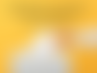 SCUOLA:  ELEZIONI ORGANI COLLEGIALI ENTRO IL 27 - 28 OTTOBRE 