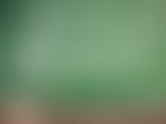 NoiSiamoLeScuole, ad Ancona si torna in classe alla Primaria “Antognini” grazie ai fondi PNRR destinati alla messa in sicurezza e riqualificazione delle scuole