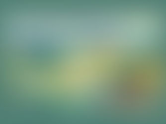 Domenica di Carta, apertura straordinaria di Biblioteche e Archivi per far scoprire la ricchezza del patrimonio culturale custodito