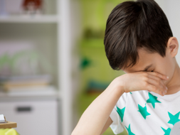 SEMPRE PIÙ FAMIGLIE FANNO RICORSO AL TAR PER LA BOCCIATURA DEI LORO FIGLI