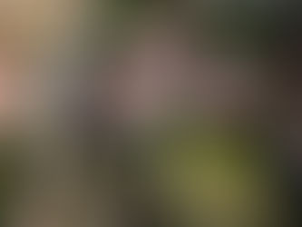 Giornata internazionale per la riduzione del rischio dei disastri naturali, presentazione progetti dal 7 al 13 ottobre 2024