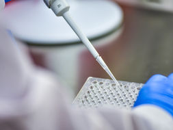Percorso di potenziamento "Biologia con curvatura biomedica", presentazione delle domande da oggi 18 giugno al 18 luglio 2024