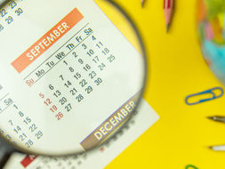 Calendari scolastici 2024/25 completi, ecco tutte le date di inizio, termine delle attività didattiche e festività nazionali