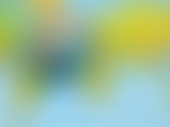 Formazione e ricerca nel campo dell’insegnamento delle lingue e delle tradizioni culturali, domande di partecipazione entro il 14 ottobre 2024 (Nota)