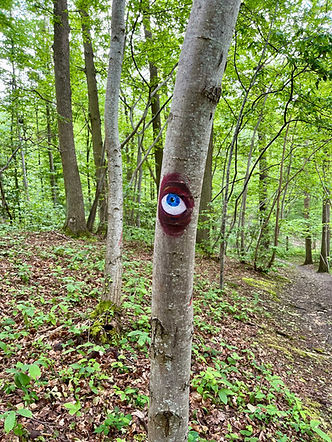 L'Oeil dans les bois.jpg