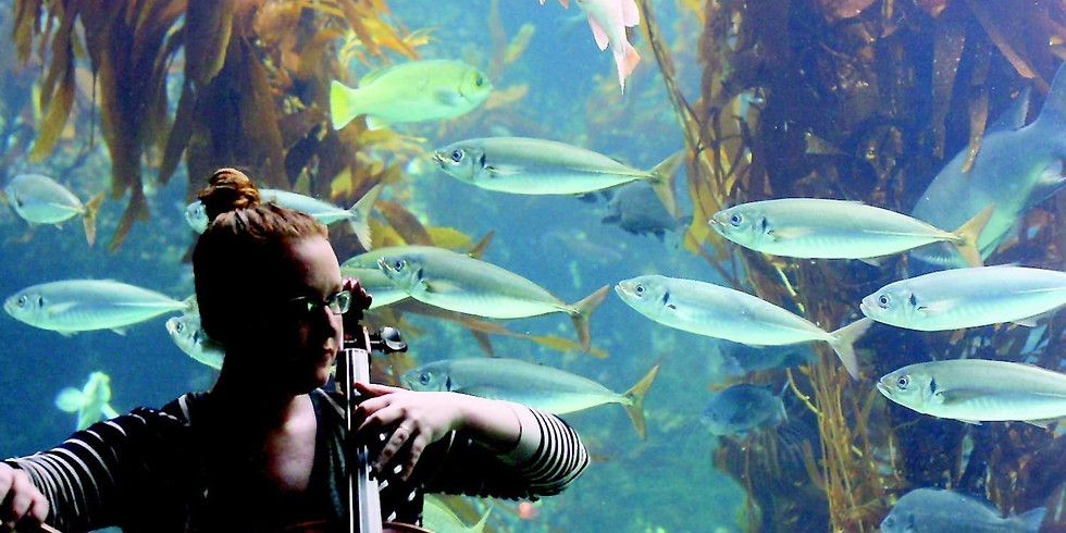 Springfest @ the Birch Aquarium