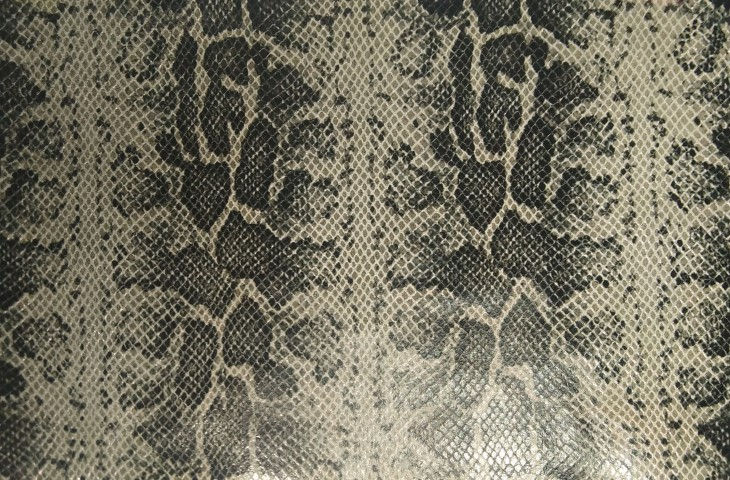 Thumbnail: Foil Leather 5