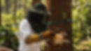 beekeeper beekeeping.png