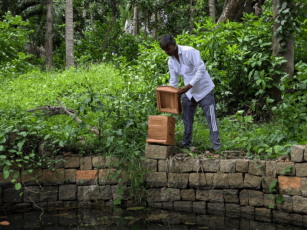 beekeeper
