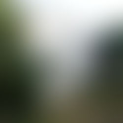 PARTE III: Explicación de "Haz tu voluntad, esa debe ser toda tu ley" de Aleister Crowley