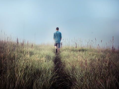 Man walking quietly through tall grass, representing a reflective pause before starting counselling.