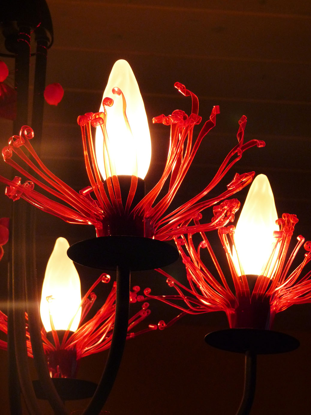 fleurs de lustre