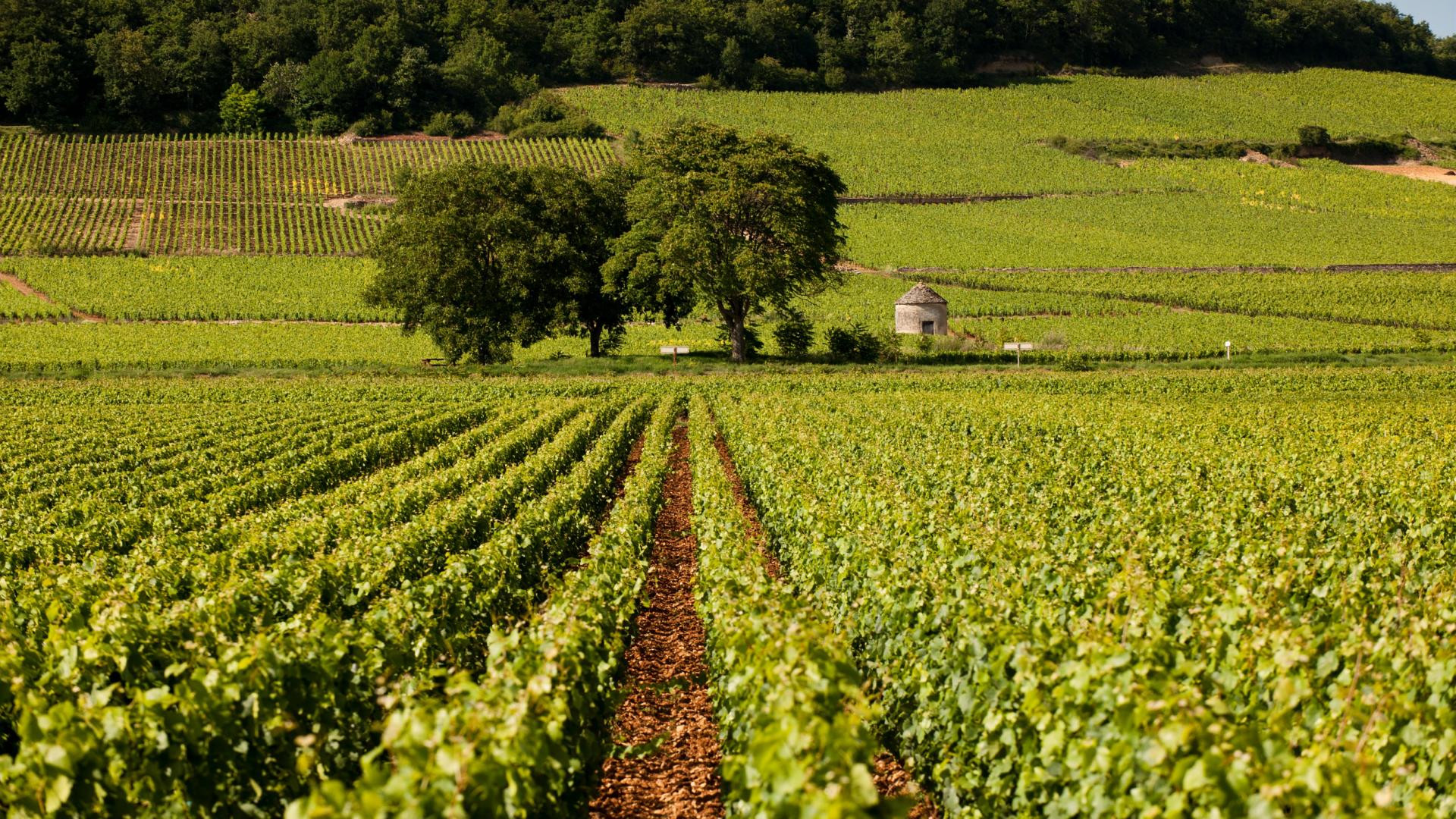 Image by Sven Wilhelm
