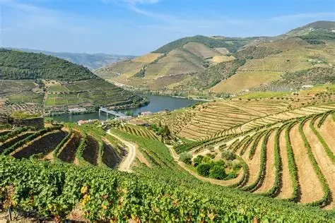 Image by Sven Wilhelm