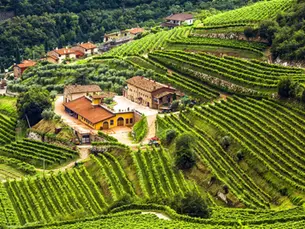 „Valpolicella – Die Seele Veronas im Glas“