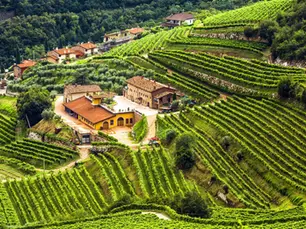 „Valpolicella – Die Seele Veronas im Glas“