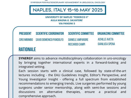 SYNERGY-15/16 MAGGIO 2025